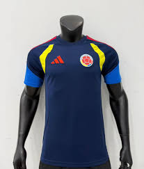 Camiseta Selección Colombia tipo Jugador